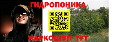 индика Нягань