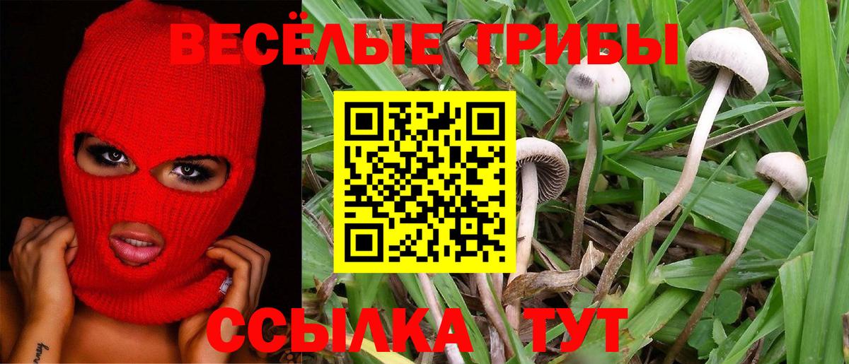 Псилоцибиновые грибы мицелий Ростов Великий
