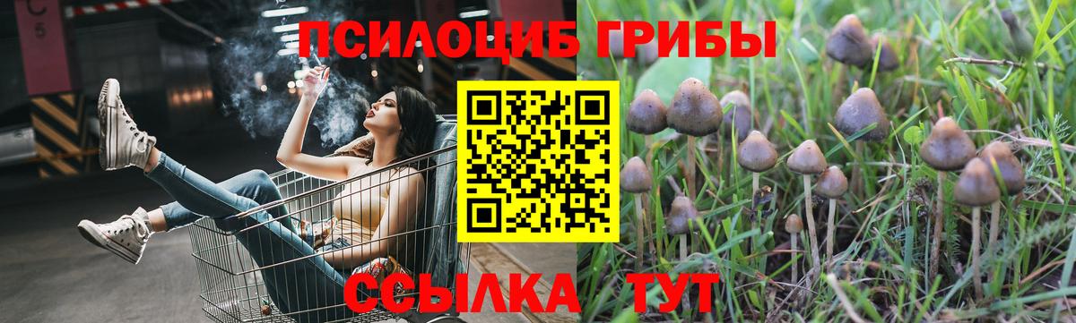 Галлюциногенные грибы мицелий  Вход с VPN  Ростов Великий  Галлюциногенные грибы Cubensis 
